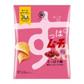 코이케야 감자칩 일본 돈키호테 포테이토 소금 매실 55g