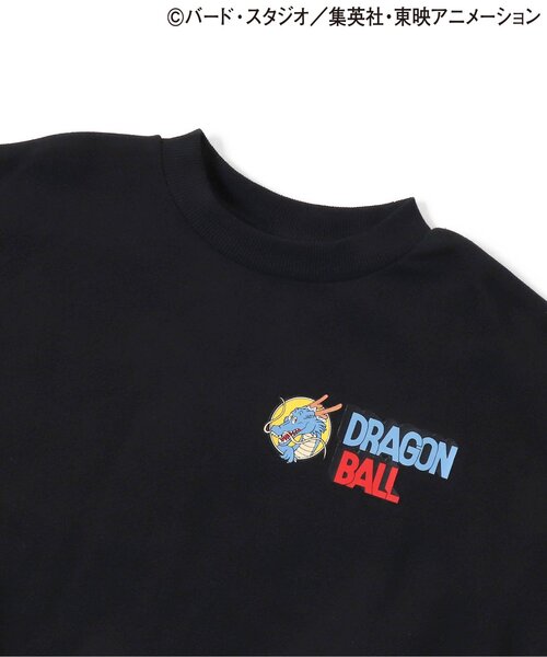 Breeze Kids T-shirt Japanese Toddler Long Sleeve Sesame Street Fur-Free Strainer 5 Colors 