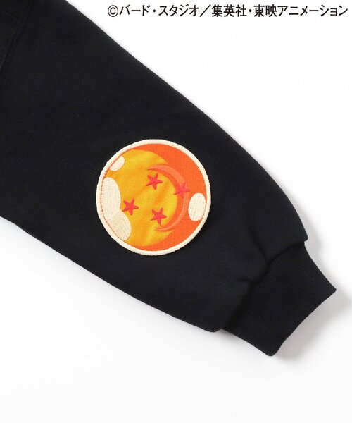 Breeze Kids T-shirt Japanese Toddler Long Sleeve Sesame Street Fur-Free Strainer 5 Colors 