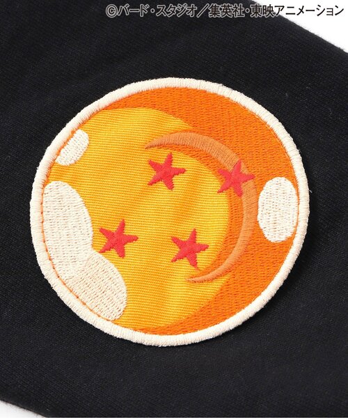 Breeze Kids T-shirt Japanese Toddler Long Sleeve Sesame Street Fur-Free Strainer 5 Colors 