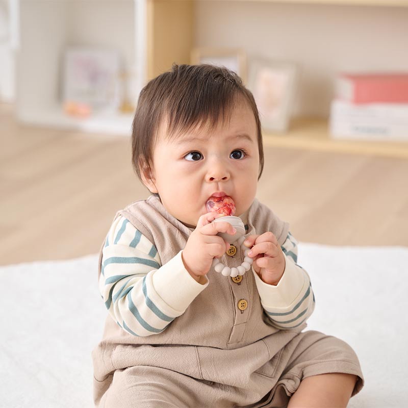 아카짱혼포 과즙망 일본 안젤레트 푸드 피더 핑크